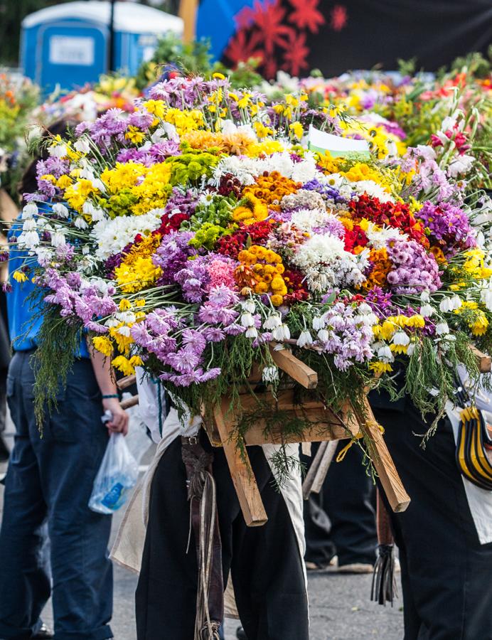 Desfile de Silleteros, Feria de las Flores, Medell...