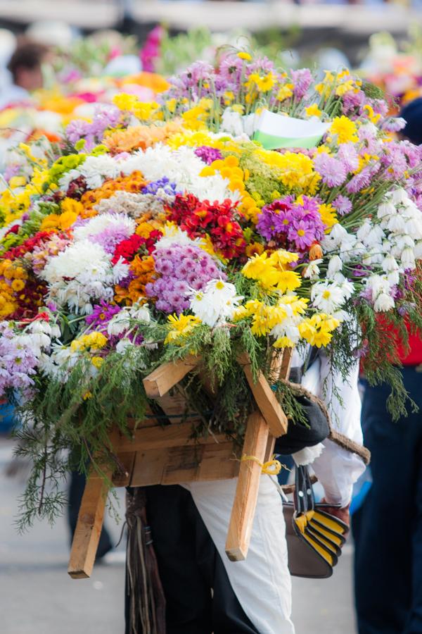 Desfile de Silleteros, Feria de las Flores, Medell...