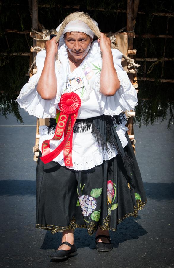 Desfile de Silleteros, Feria de las Flores, Medell...