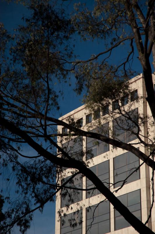 Edificio de la Carrera Septima, Bogota, Cundinamar...