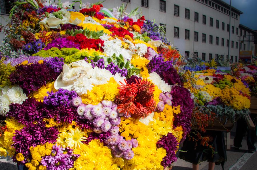 Desfile de Silleteros, Feria de las Flores, Medell...