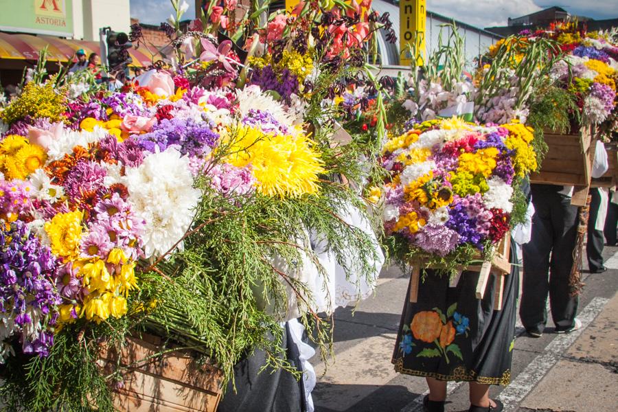 Desfile de Silleteros, Feria de las Flores, Medell...