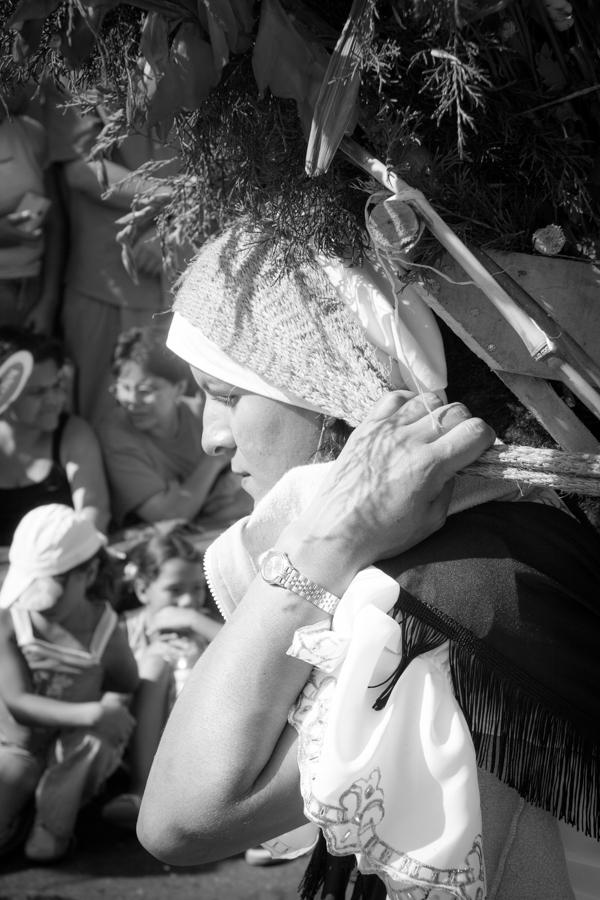 Desfile de Silleteros, Feria de las Flores, Medell...