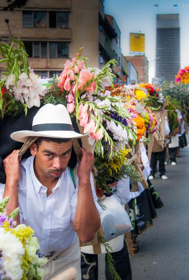 Desfile de Silleteros, Feria de las Flores, Medell...