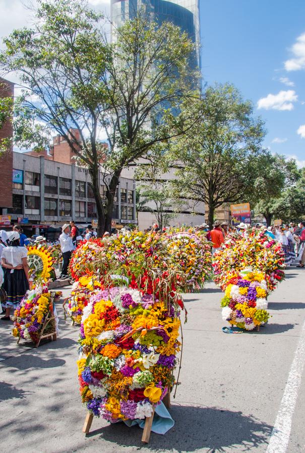 Desfile de Silleteros, Feria de las Flores, Medell...