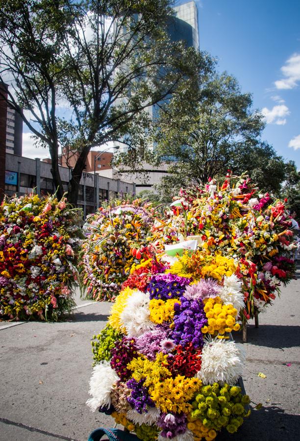 Desfile de Silleteros, Feria de las Flores, Medell...