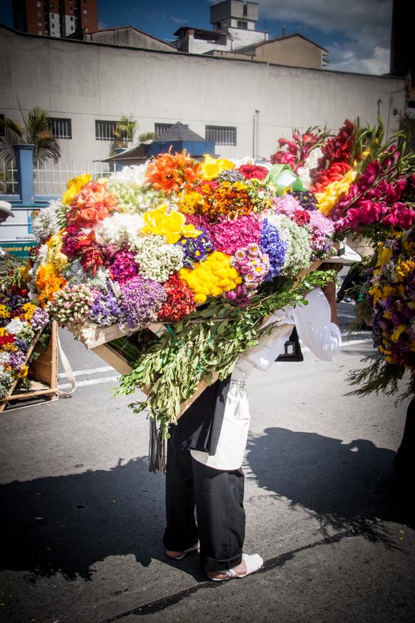 Desfile de Silleteros, Feria de las Flores, Medell...