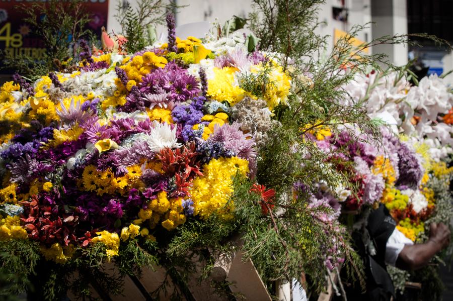 Desfile de Silleteros, Feria de las Flores, Medell...