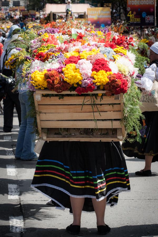 Desfile de Silleteros, Feria de las Flores, Medell...