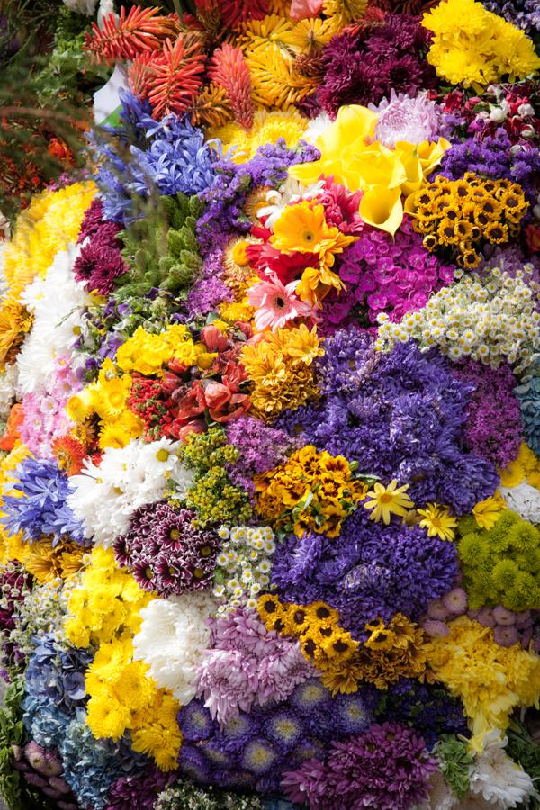 Desfile de Silleteros, Feria de las Flores, Medell...