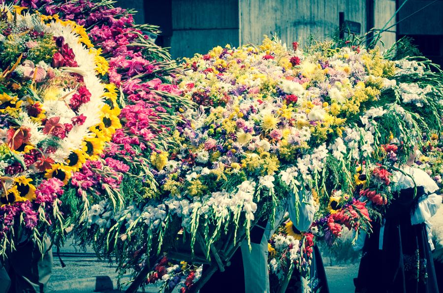 Desfile de Silleteros, Feria de las Flores, Medell...