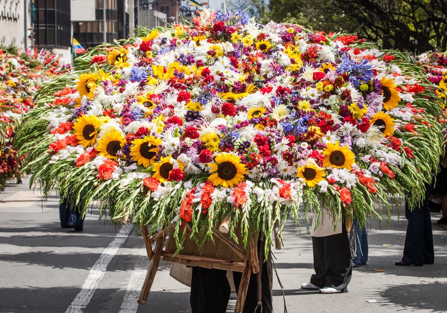 Desfile de Silleteros, Feria de las Flores, Medell...