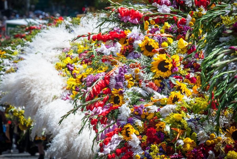 Desfile de Silleteros, Feria de las Flores, Medell...