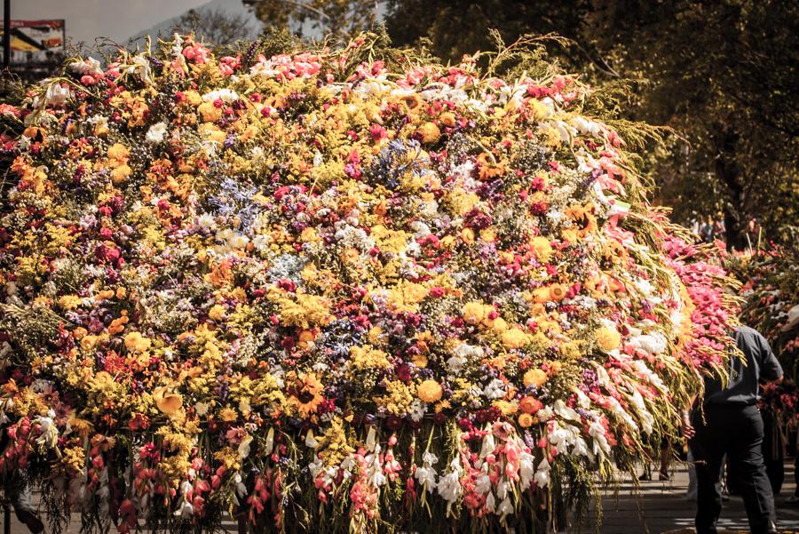 Desfile de Silleteros, Feria de las Flores, Medell...