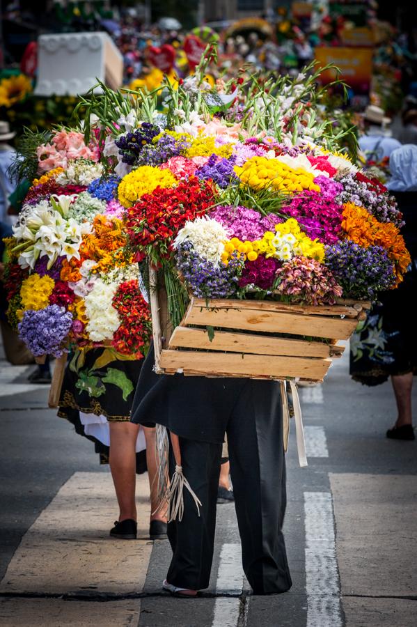 Desfile de Silleteros, Feria de las Flores, Medell...