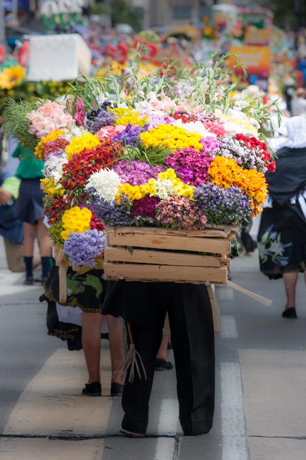 Desfile de Silleteros, Feria de las Flores, Medell...