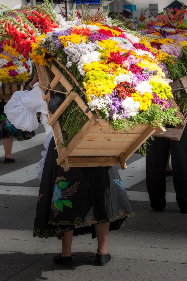 Desfile de Silleteros, Feria de las Flores, Medell...