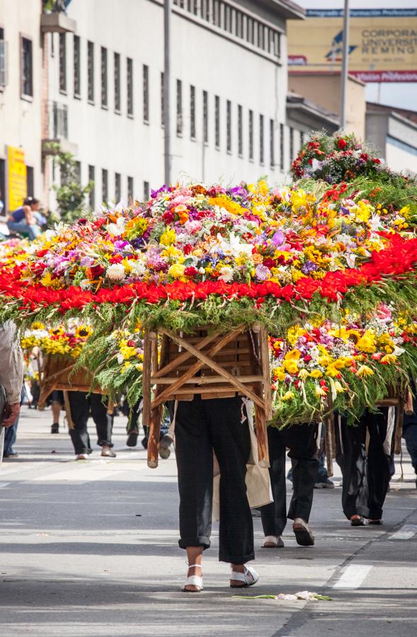 Desfile de Silleteros, Feria de las Flores, Medell...