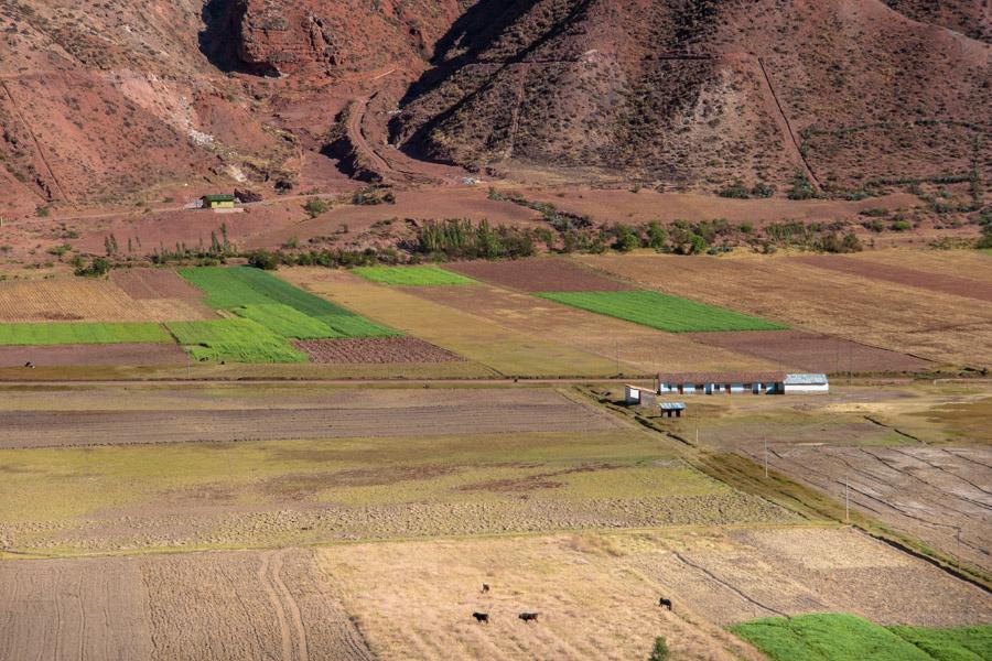 Cultivos en el Valle Sagrado de los Incas, Provinc...