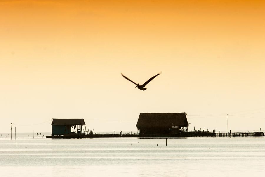 Palafito en Cienaga Magdalena, Colombia