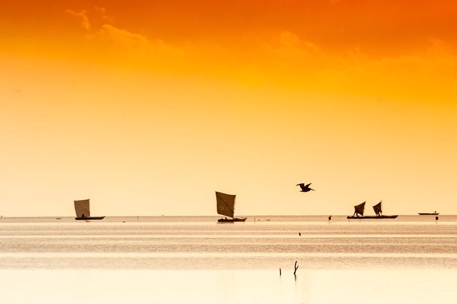 Pescadores en un Bote en Cienaga Magdalena, Colomb...