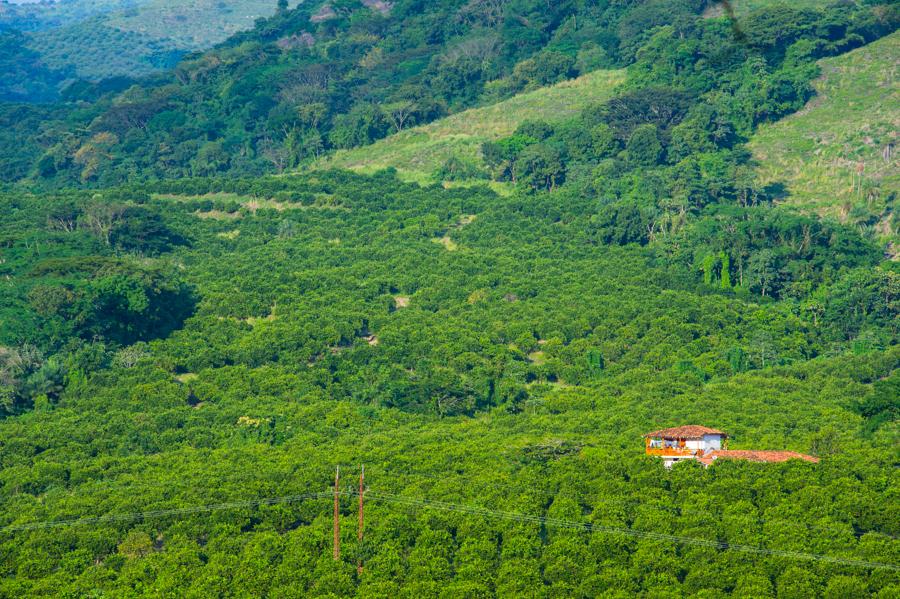 Paisaje del Suroeste Antioqueño, Antioquia, Colom...