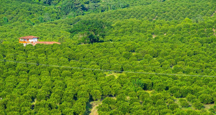 Paisaje del Suroeste Antioqueño, Antioquia, Colom...