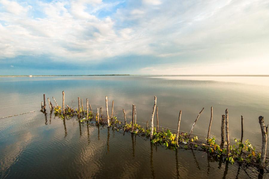 Paisaje en Cienaga Magdalena, Colombia