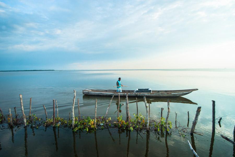 Pescadores en un Bote en Cienaga Magdalena, Colomb...