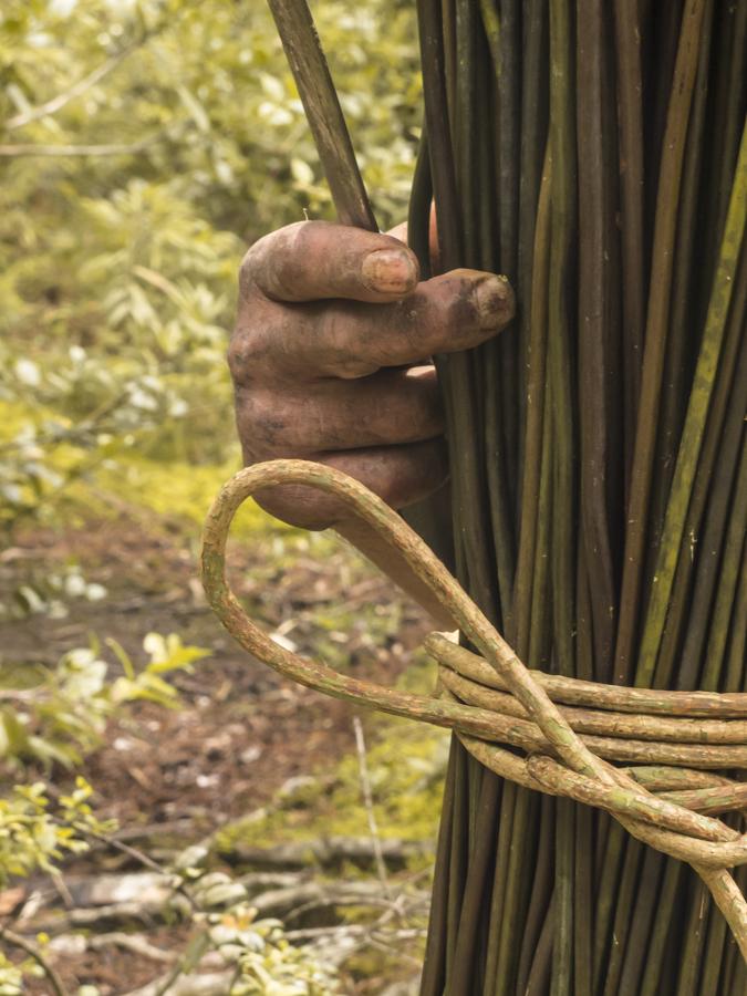 Mano de un Campesino