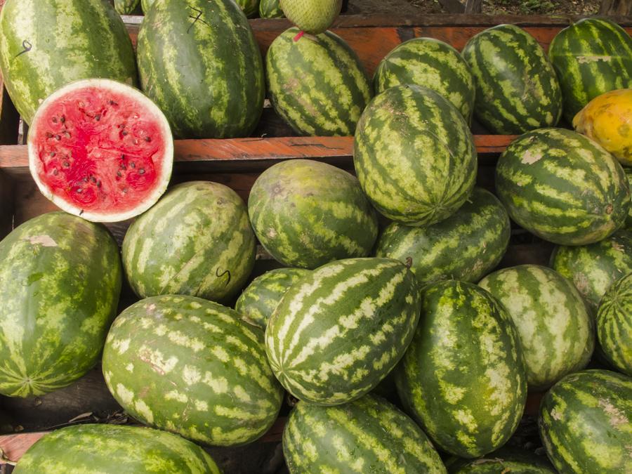 Venta de Sandia