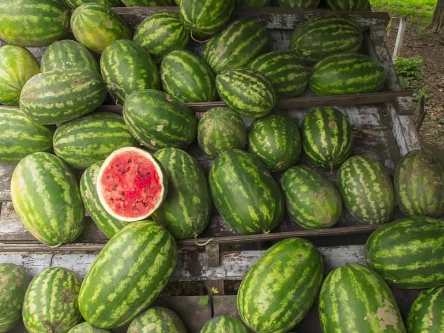 Venta de Sandia