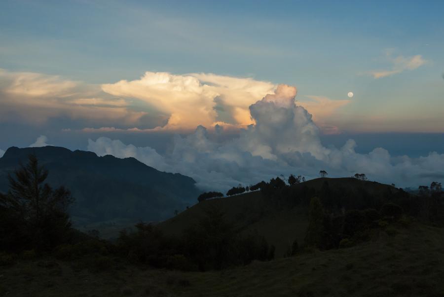 Parque Nacional Natural Los Nevados, Tolima, Ibagu...