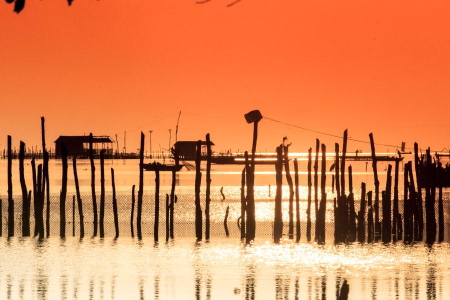 Palafito en Cienaga Magdalena, Colombia