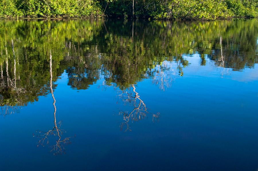 Laguna Marasha, Amazonas, Leticia, Colombia