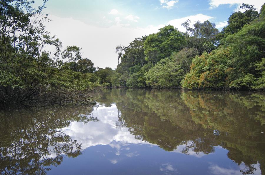 Rio Mata, Amazonas, Leticia, Colombia