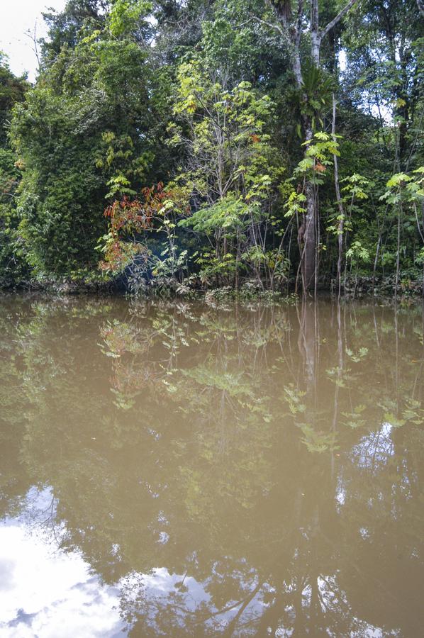 Rio Mata, Amazonas, Leticia, Colombia