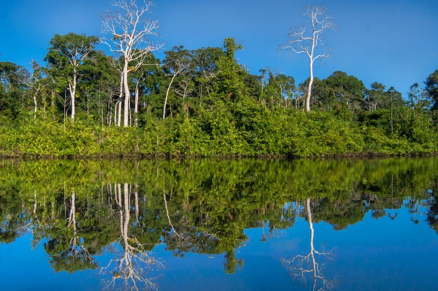 Laguna Marasha, Amazonas, Leticia, Colombia