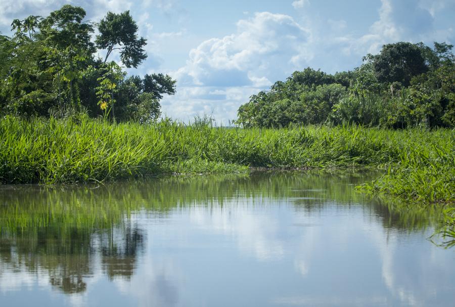 Rio Mata, Amazonas, Leticia, Colombia