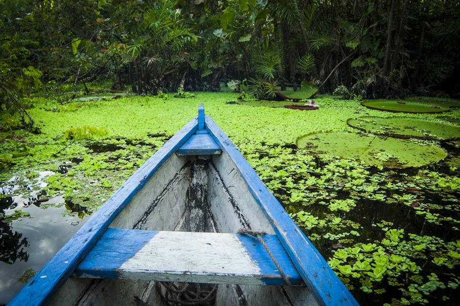 Canoa, Amazonas, Leticia, Colombia