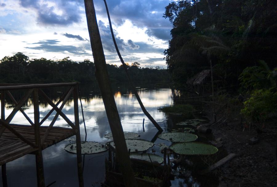 Rio Amazonas, Amazonas, Leticia, Colombia