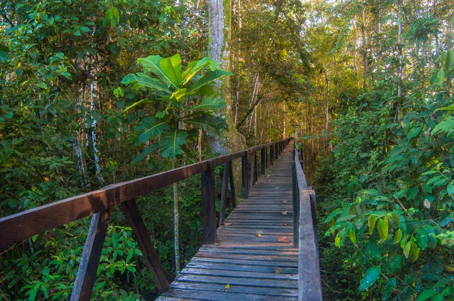 Puente de Madera, Amazonas, Leticia, Colombia