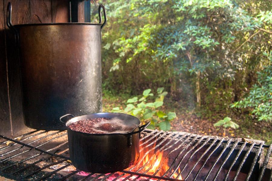 Comida en el Horno, Amazonas, Leticia, Colombia