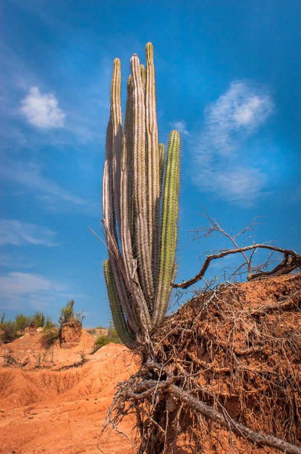 Desierto de la Tatacoa, Valle de las Tristezas, Hu...