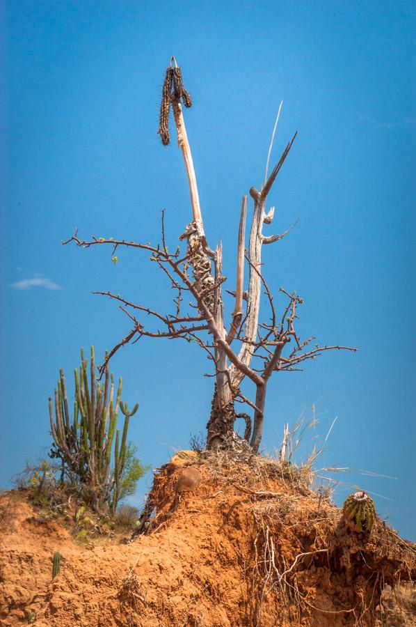 Desierto de la Tatacoa, Valle de las Tristezas, Hu...