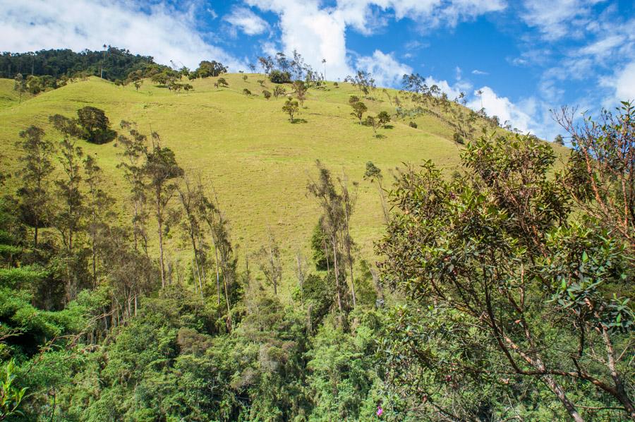 Paisaje en Girardot, Cundinamarca, Colombia