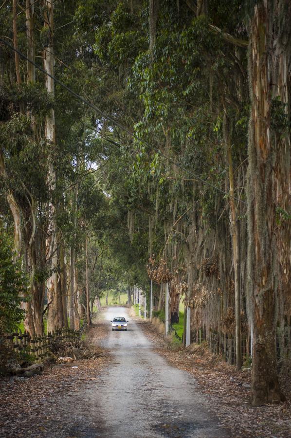 Camino en Oriente Antioqueño, Antioquia, Colombia