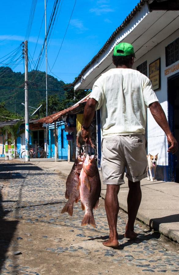 Persona Caminando por la Calle