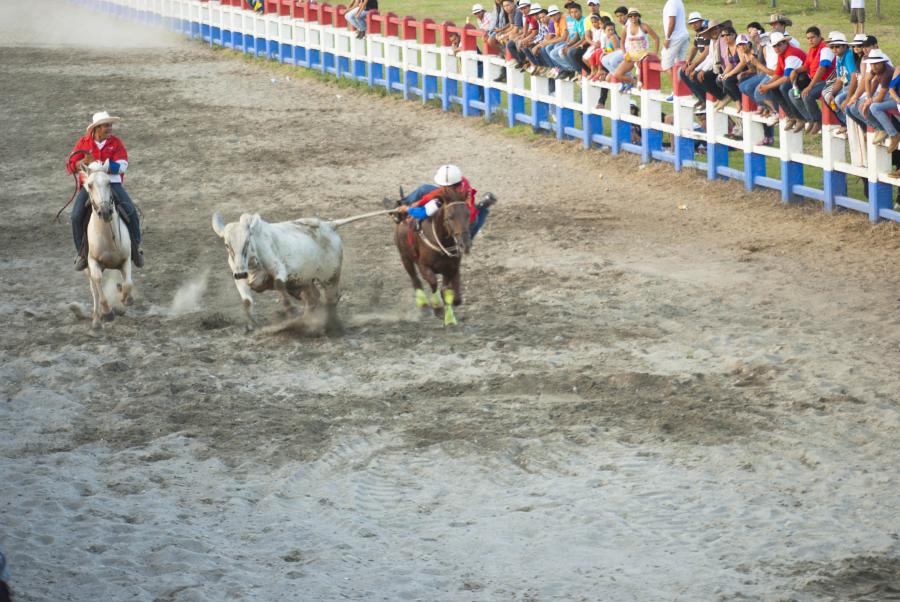 Festival Internacional Folclorico y Turistico del ...