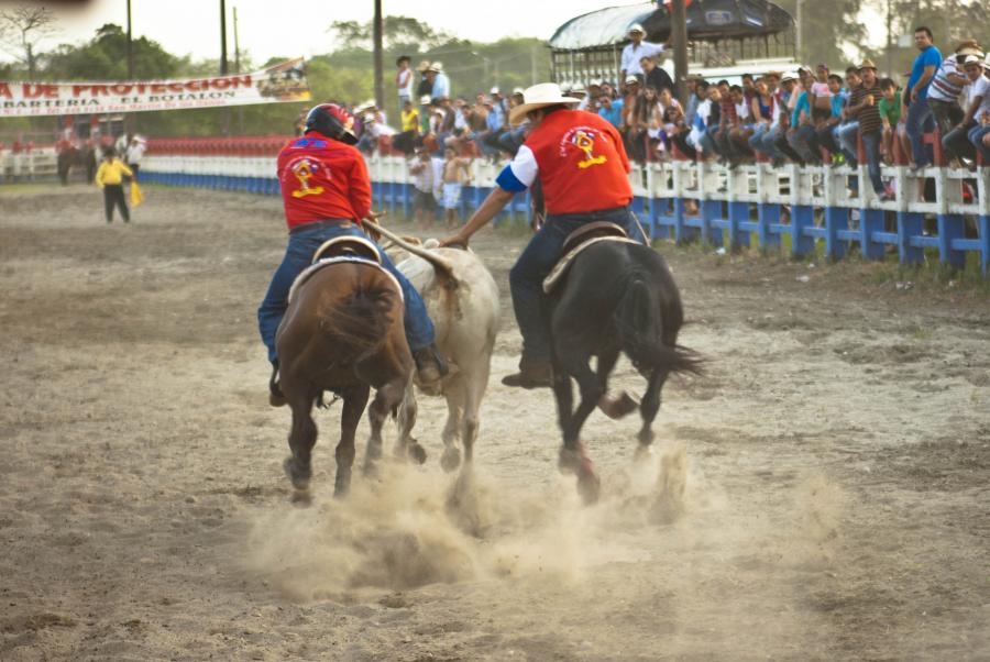 Festival Internacional Folclorico y Turistico del ...